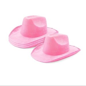 Velvet cowboy hats